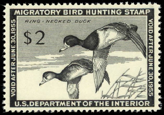 US Stamp Value Scott RW21: US$2.00 1954 Federal Duck Hunting. Daniel Kelleher Auctions, May 2014, Sale 653, Lot 2358
